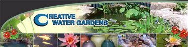 Creative Water Gardens in Garland Texas